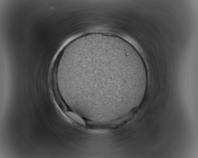 X0000084541392200703231704