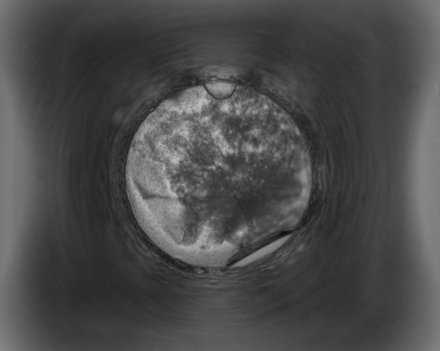 X0000084541393200703231704