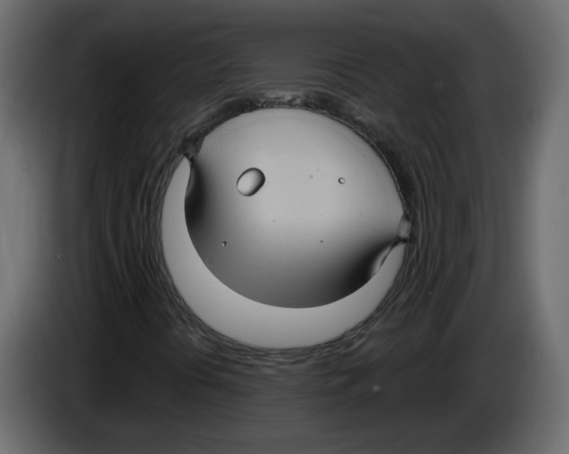 X0000084541394200703231704