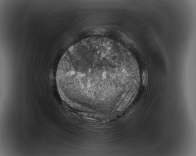 X0000084541395200703231704