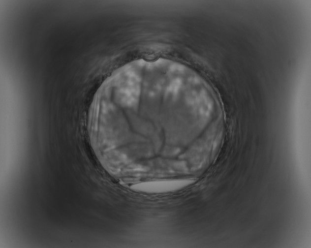 X0000084541397200703231704