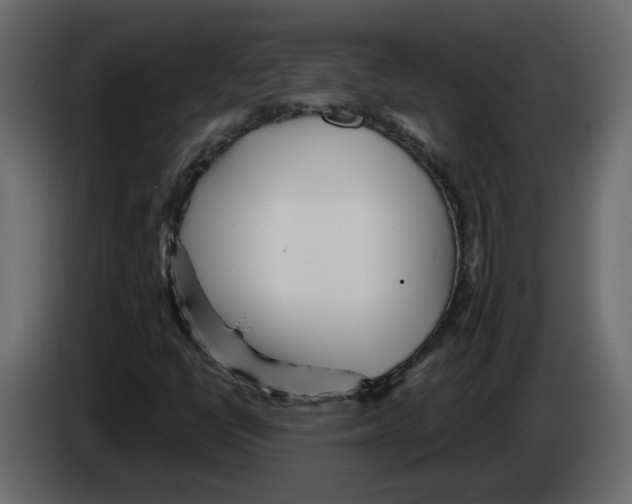 X0000084541398200703231704