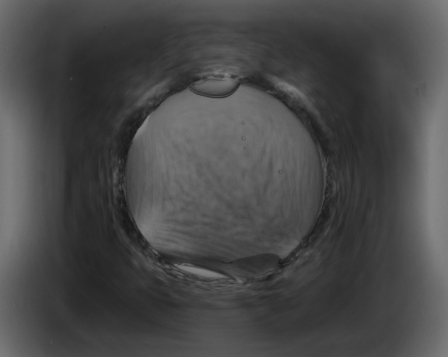 X0000084541399200703231704