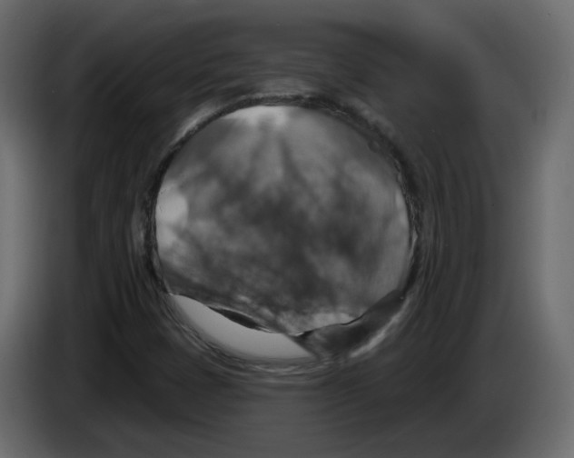 X0000084541401200703231704