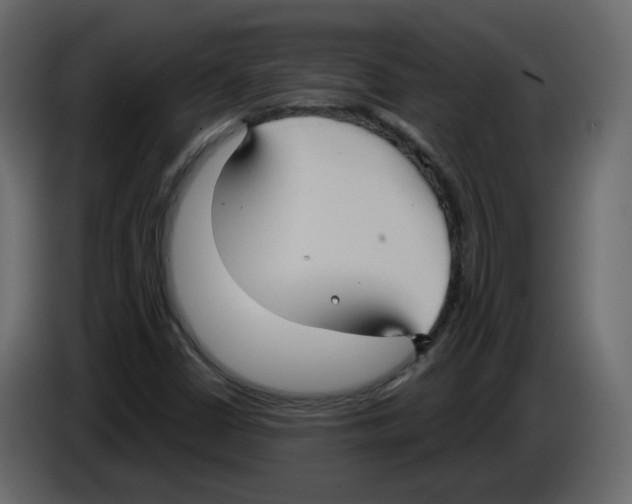 X0000084541402200703231704