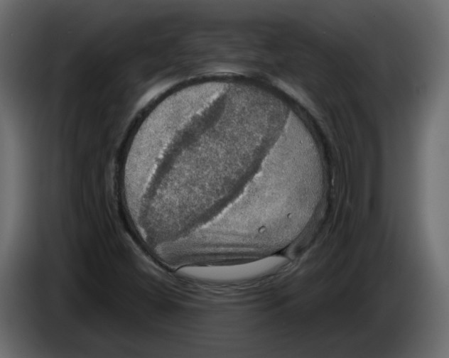 X0000084541404200703231704