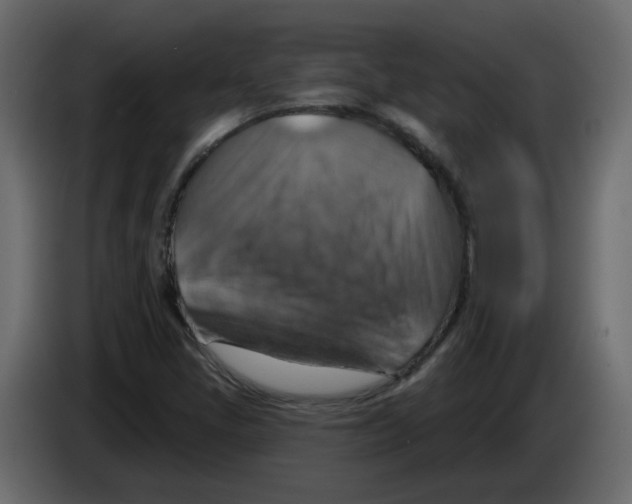 X0000084541405200703231704