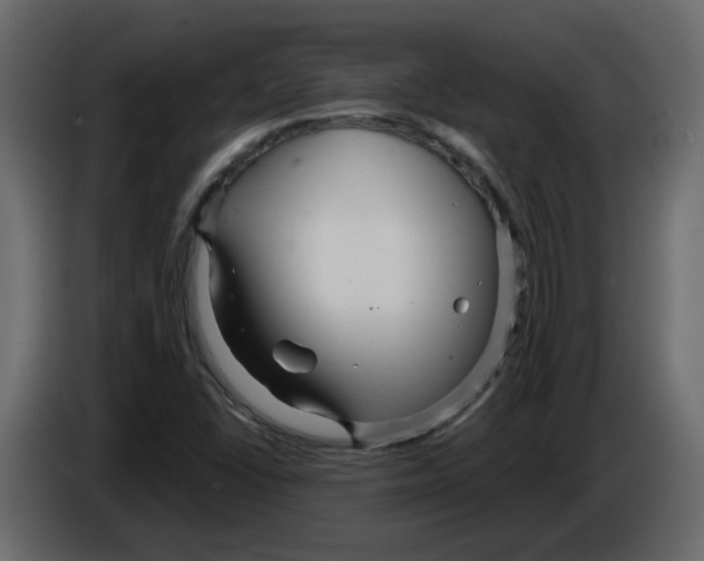 X0000084541406200703231704