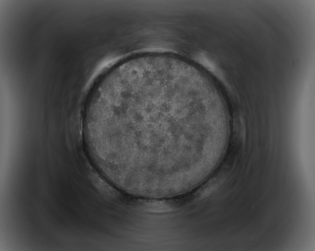 X0000084541408200703231704