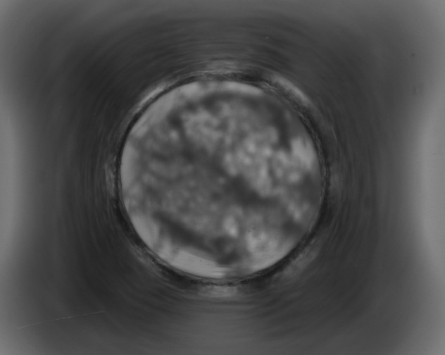 X0000084541409200703231704