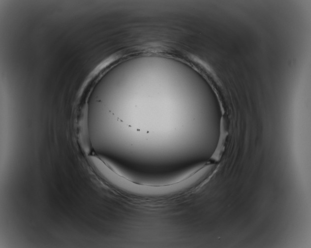 X0000084541410200703231704