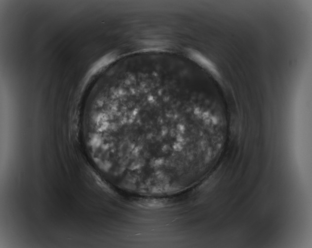 X0000084541411200703231704