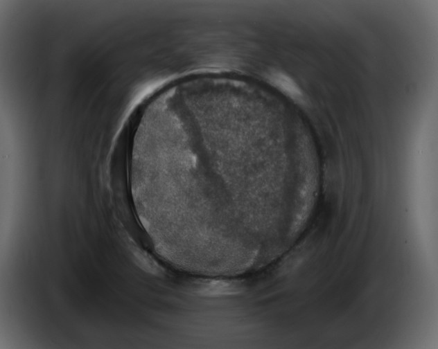 X0000084541412200703231704