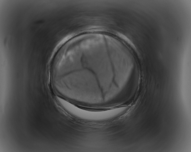 X0000084541413200703231704