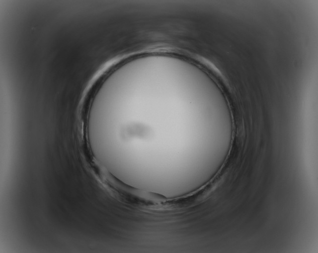 X0000084541414200703231704