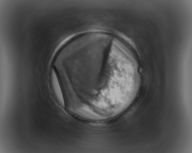 X0000084541415200703231704