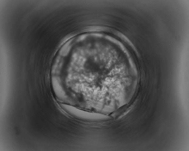 X0000084541417200703231704