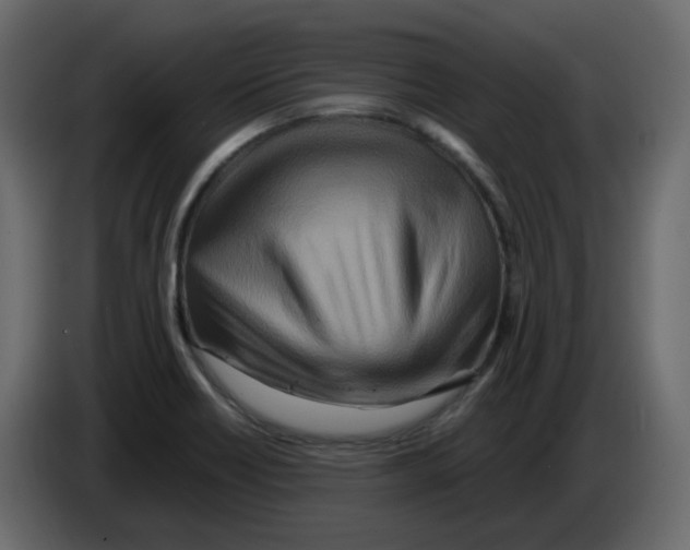 X0000084541418200703231704