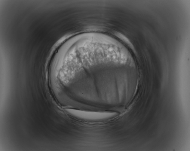 X0000084541419200703231704