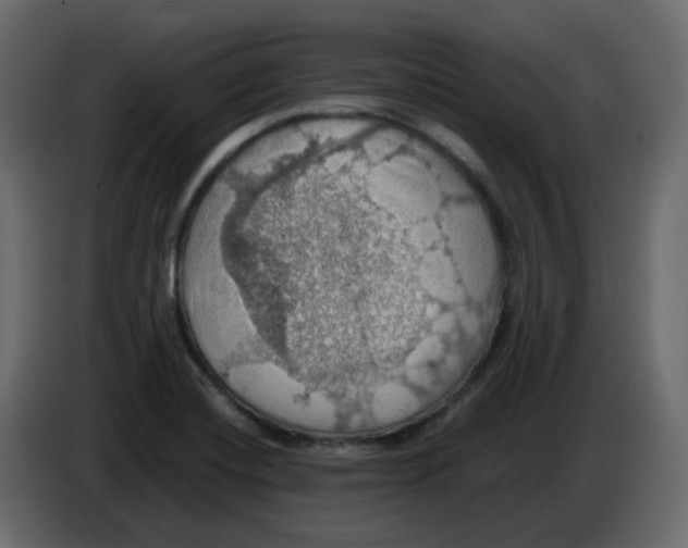 X0000084541420200703231704