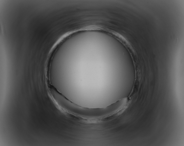 X0000084541422200703231704