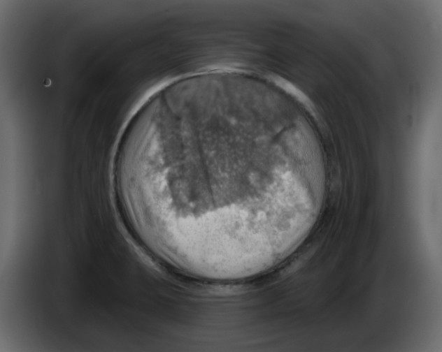 X0000084541423200703231704