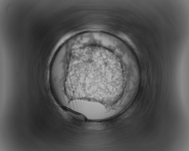 X0000084541424200703231704