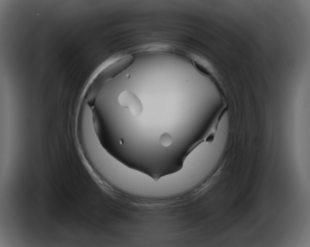 X0000084541426200703231704