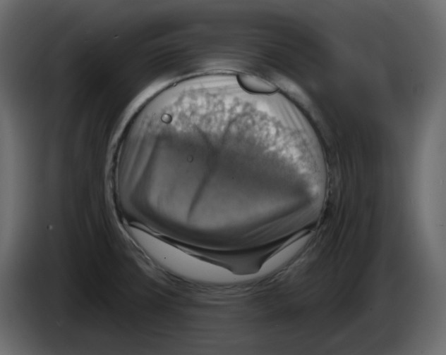 X0000084541427200703231704