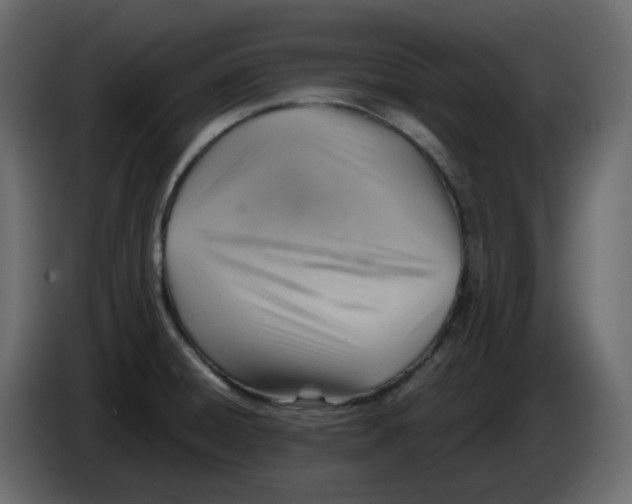 X0000084541428200703231704