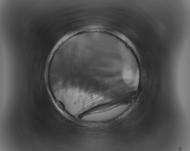 X0000084541429200703231704