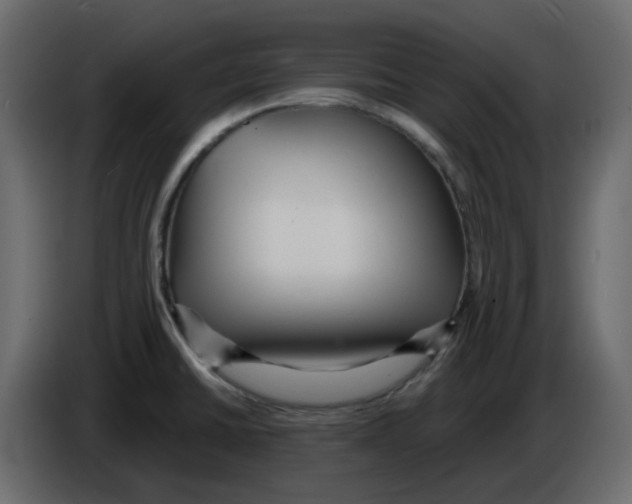 X0000084541430200703231704