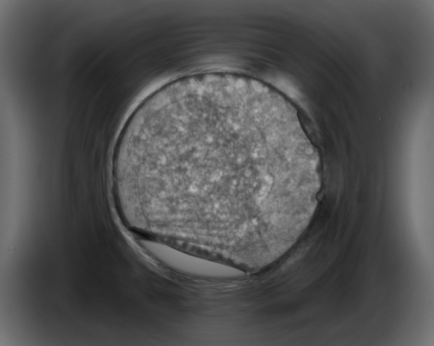 X0000084541431200703231704