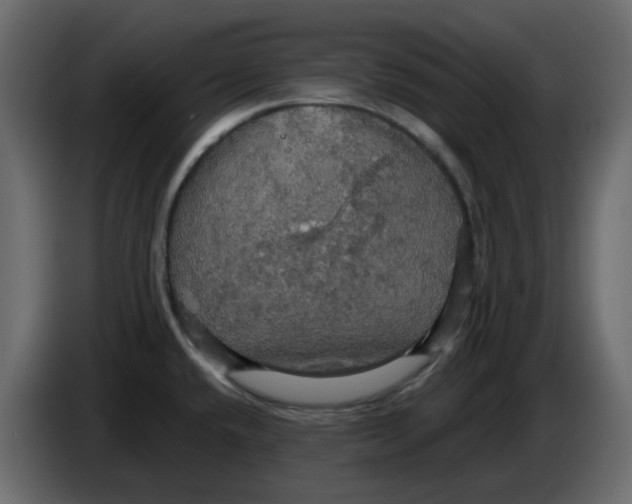 X0000084541432200703231704