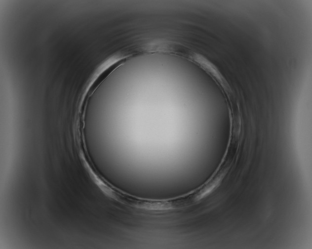 X0000084541434200703231704