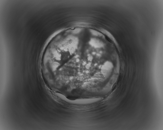 X0000084541435200703231704