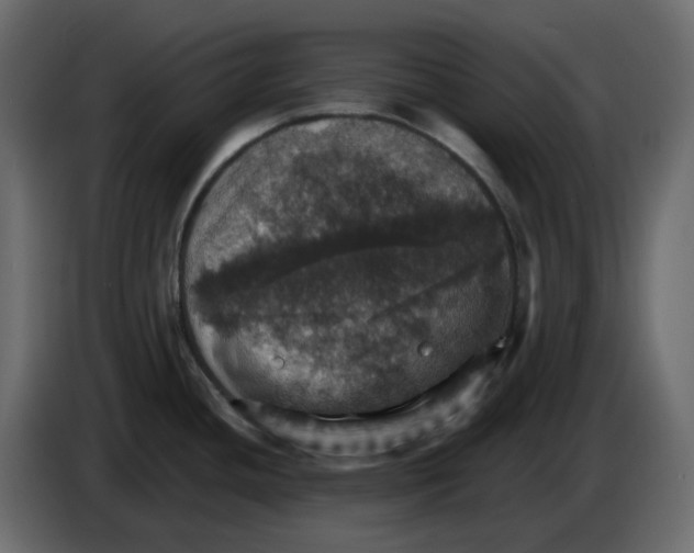 X0000084541436200703231704