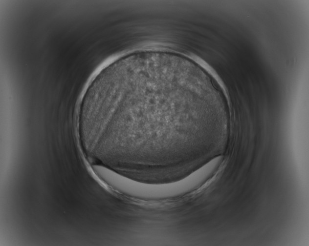 X0000084541437200703231704