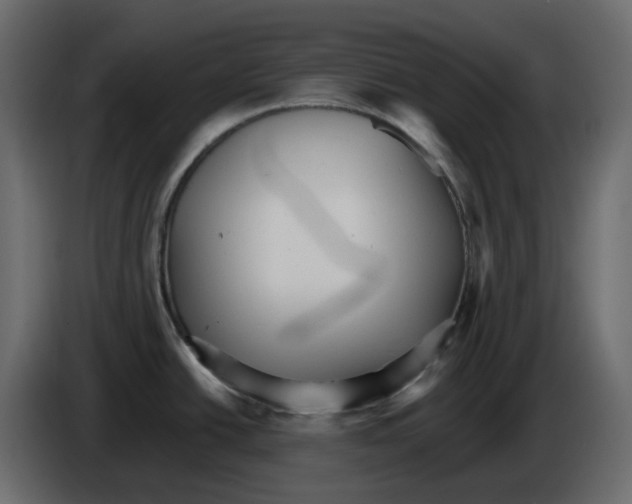 X0000084541438200703231704