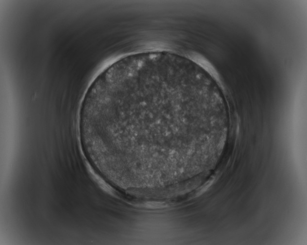 X0000084541439200703231704