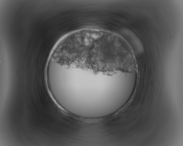 X0000084541440200703231704