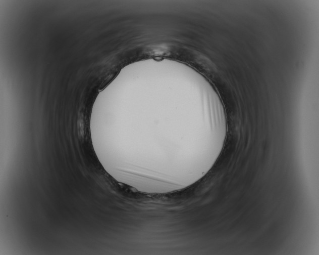 X0000084541442200703231704