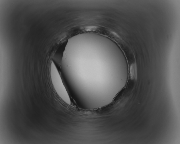 X0000084541443200703231704