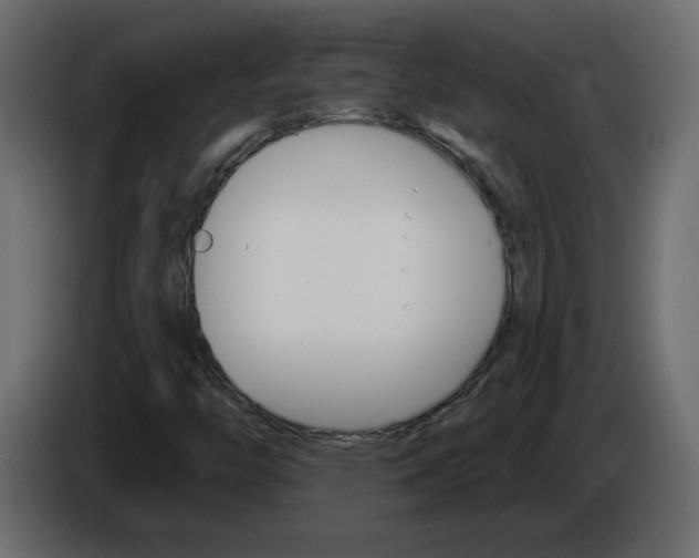 X0000084541446200703231704