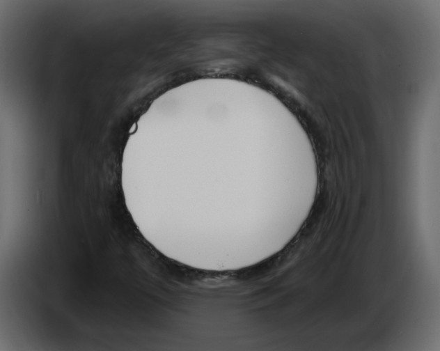 X0000084541447200703231704