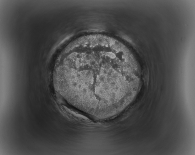 X0000084541448200703231704