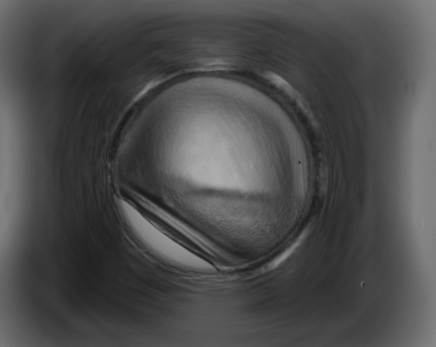 X0000084541449200703231704