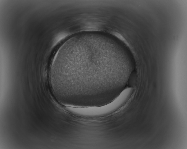 X0000084541450200703231704