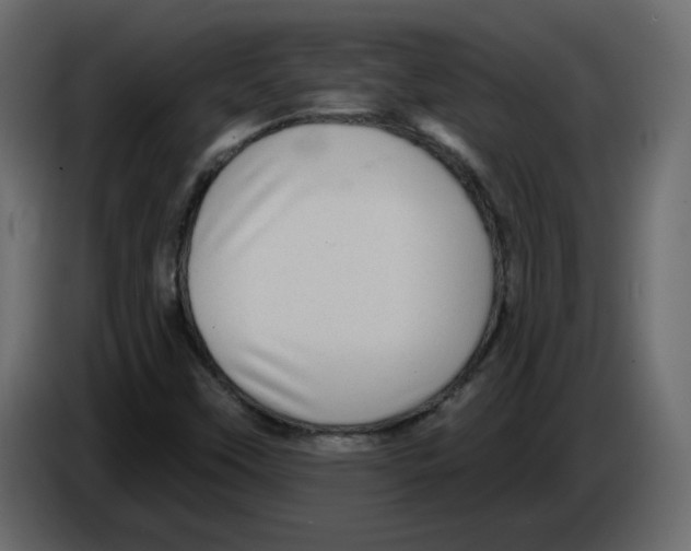 X0000084541451200703231704