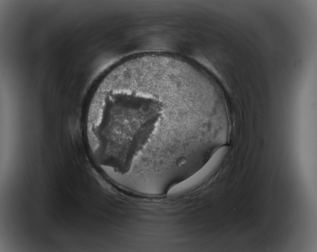 X0000084541452200703231704